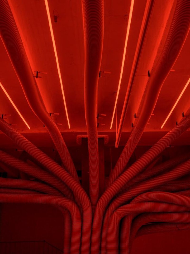 @JAVIER DE PAZ GARCÍA