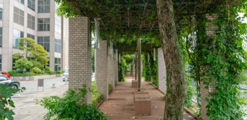 Development with green environment - An impression