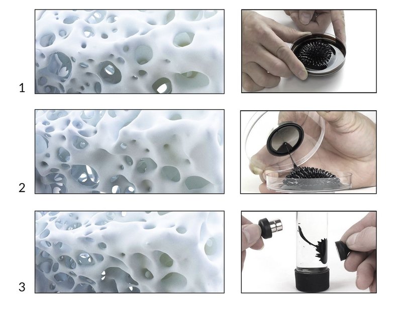 Fluid forms meet magnetic force: Design reimagined.