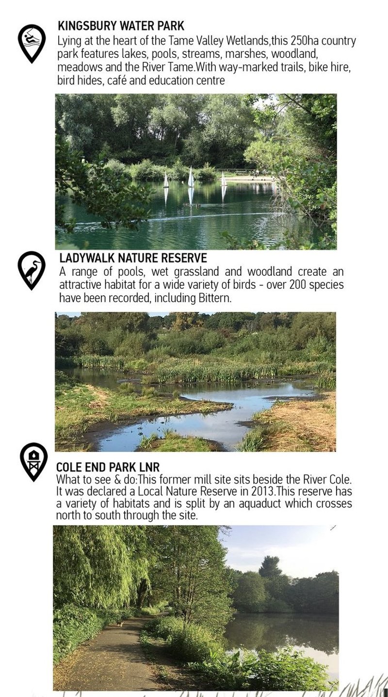 Kingsbury Water Park: A tranquil wetland oasis.