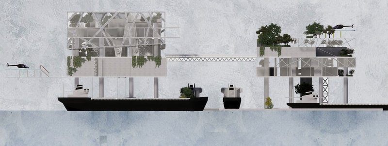 Elevated Ecosystems: Connecting Sky, Sea, and Sustainability