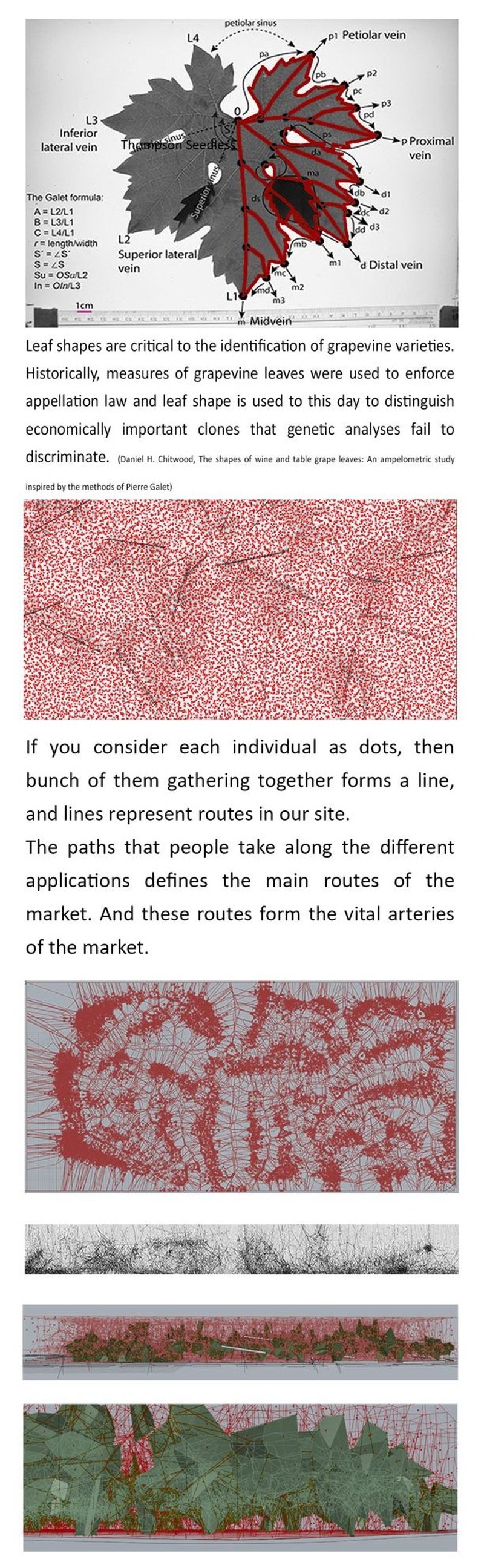 Mapping the veins of community and commerce.