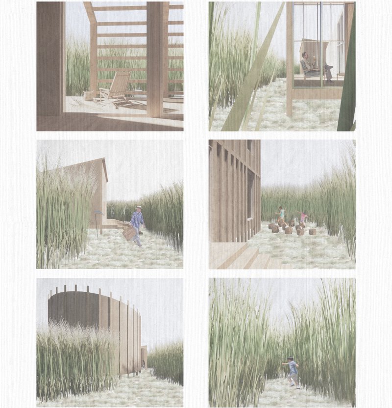 Fragments of everyday life from Reed Maze Project