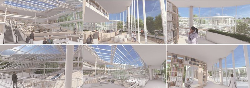 Modern library architecture blending nature, learning, and light.