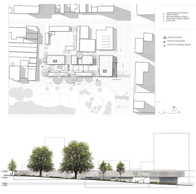 Architectural harmony in lines and living spaces.