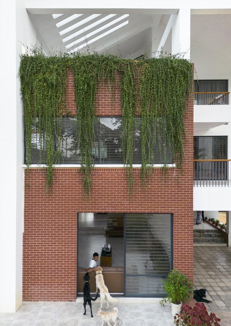 Red brick facade with vertical greenery and white pergola overhead as dogs gather below