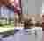 This architectural image showcases a modern pavilion structure within a park setting. The design fea