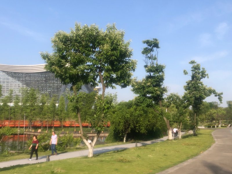 Jincheng Lake Park&nbsp;