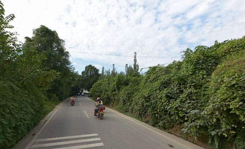 The boundary of the site