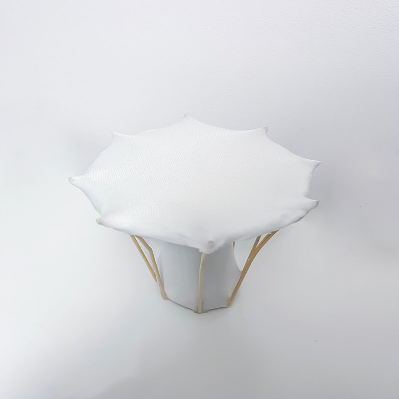 Zuzanna12022 06 17T23 55 39 435320