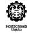 Silesian University of Technology logo