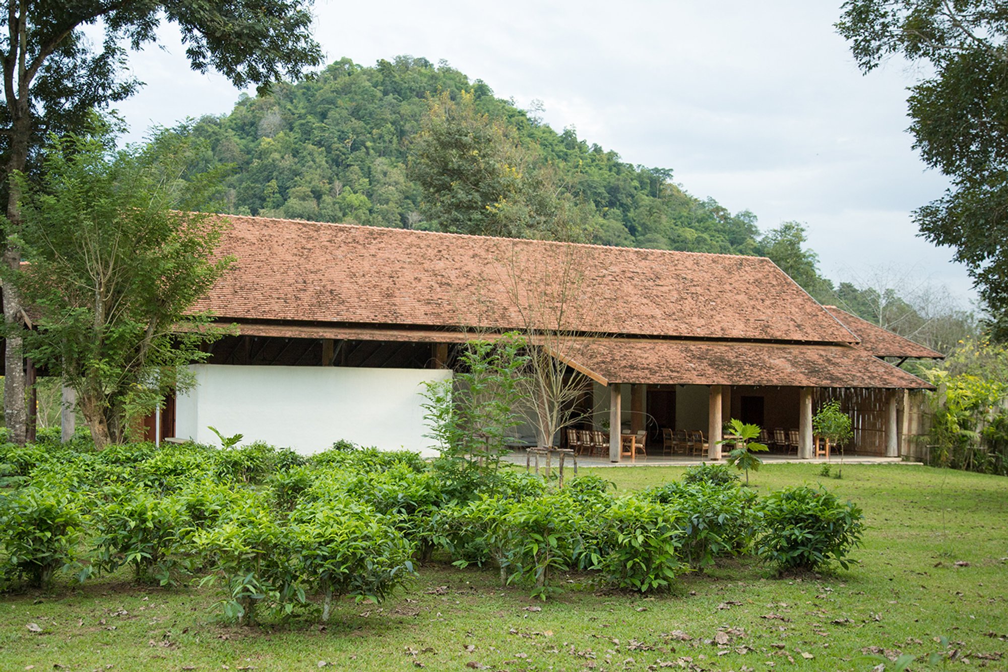 View from the Tea Garden