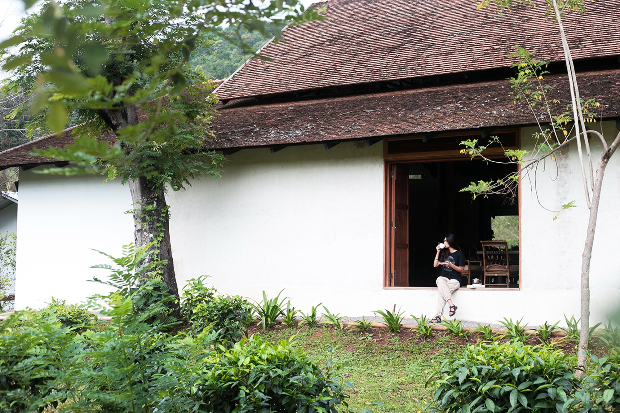 Tea Room