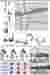 user study and activity mapping
