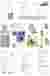 material palette