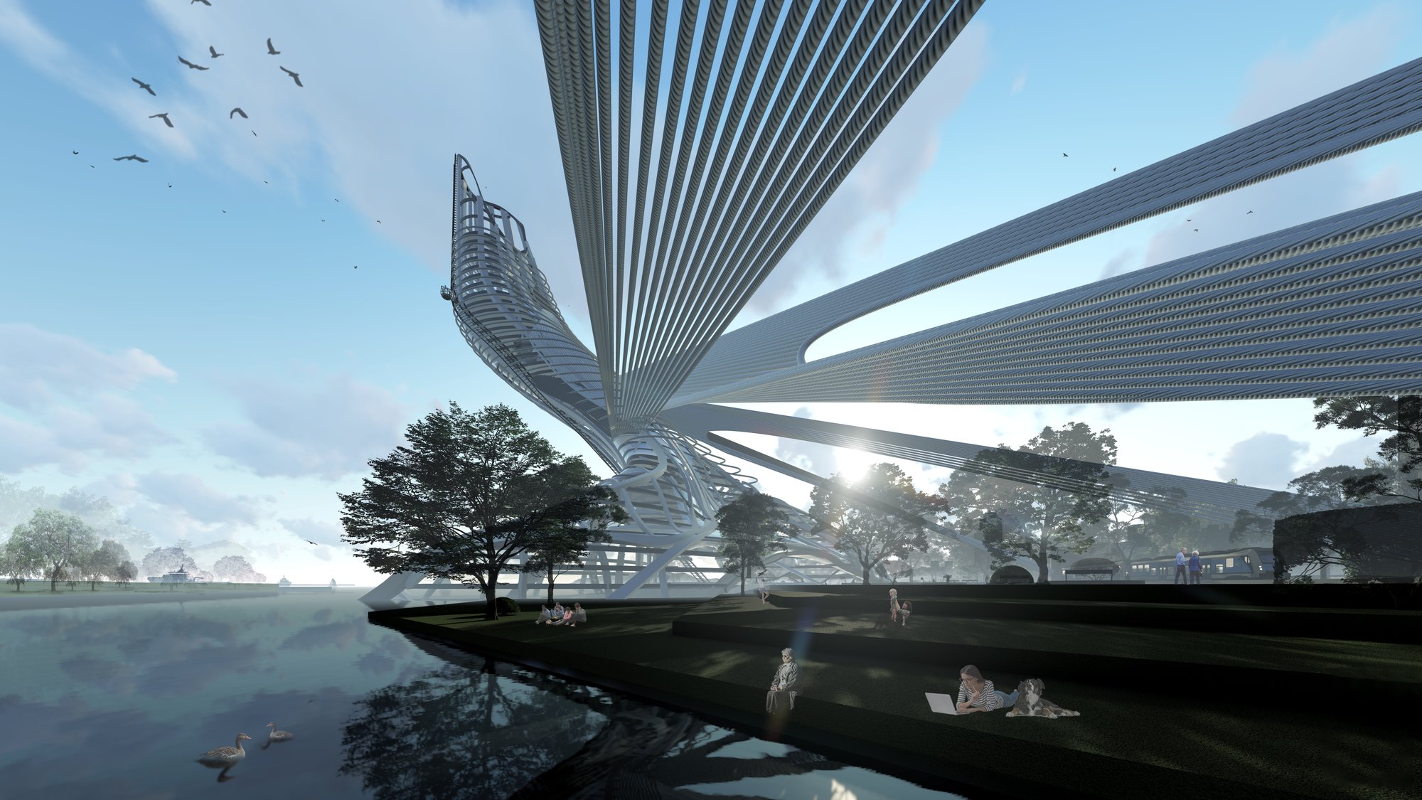 Landscape Terraces