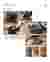 Physical Model Development