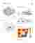 Environmental Factors