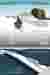 Facade / Longitudinal Section