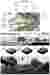 Panel 6