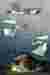 Section & exploded views
