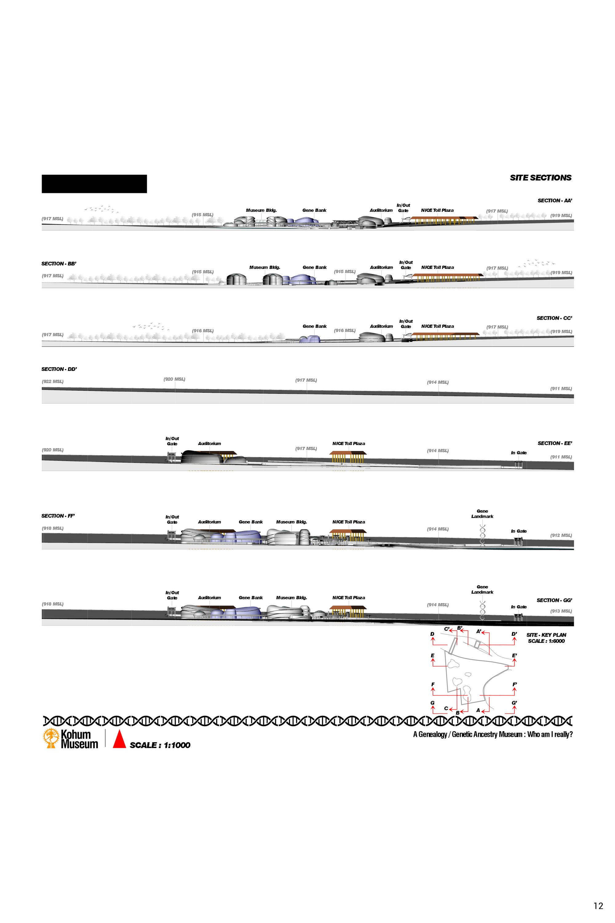 Sheet 12