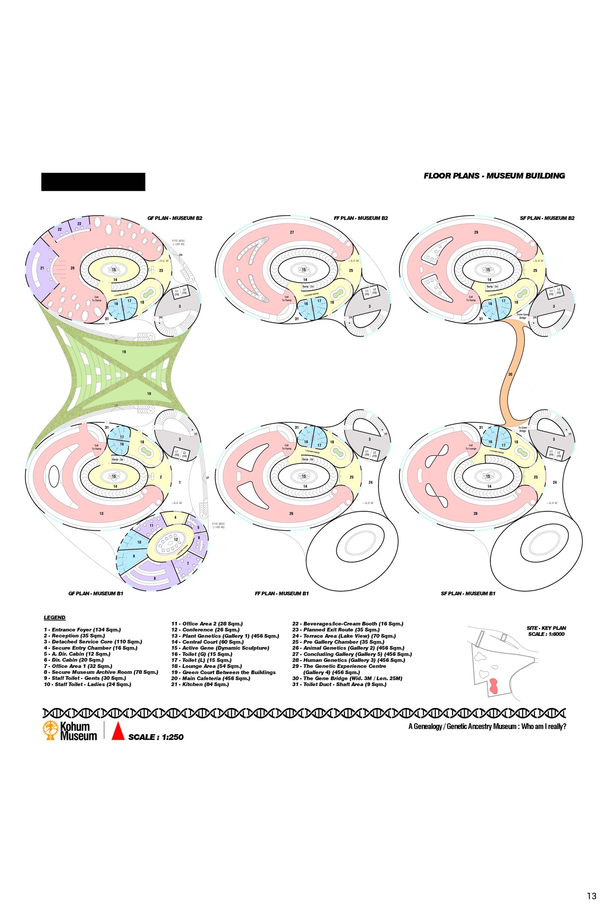 Sheet 13