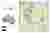 Site analyse
