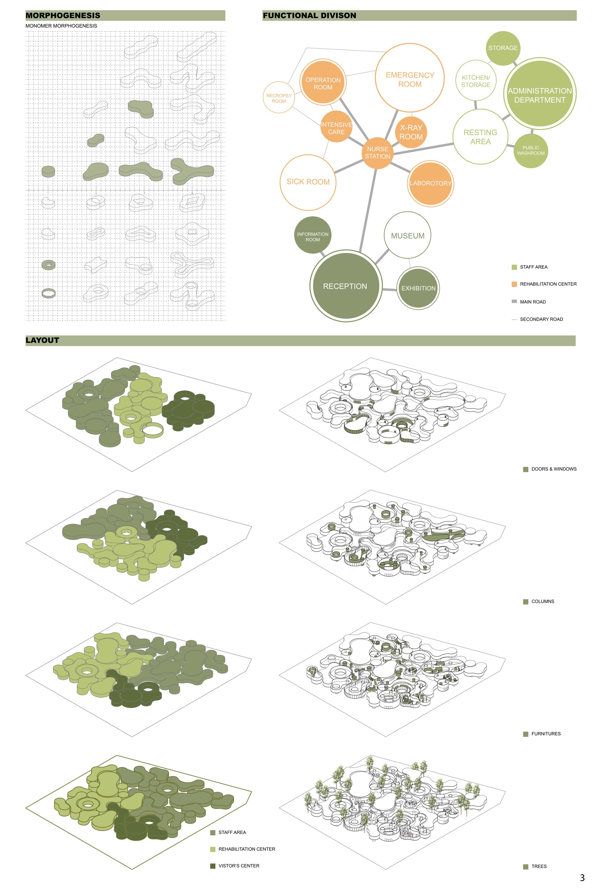 MORPHOGENESIS
