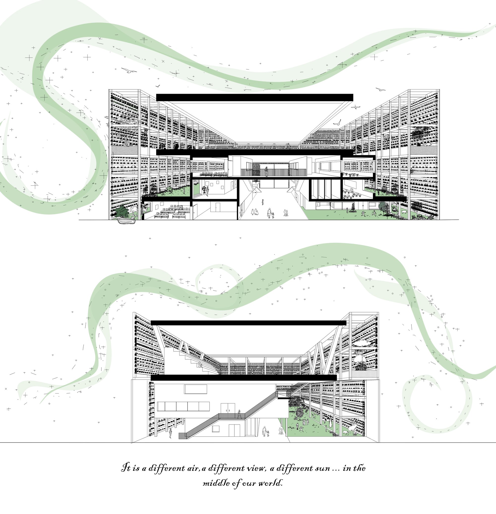 Sections