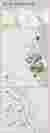 Site Analysis