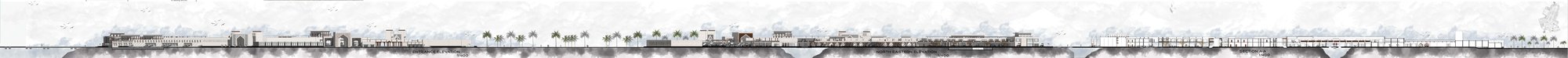 Elevation + Section