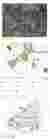 Site Ananlysis
