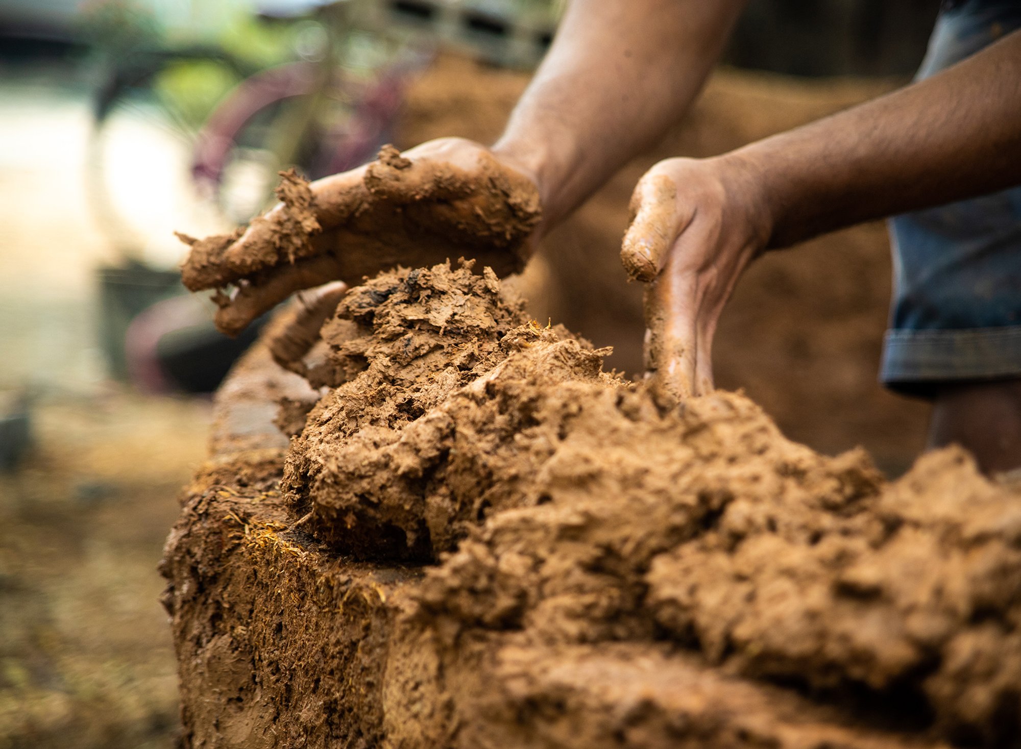 Soil