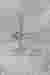 Vertical Organisation