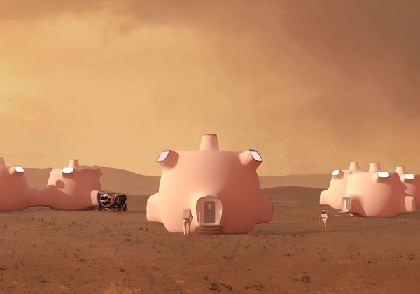 Deployable inflatable Mars habitat