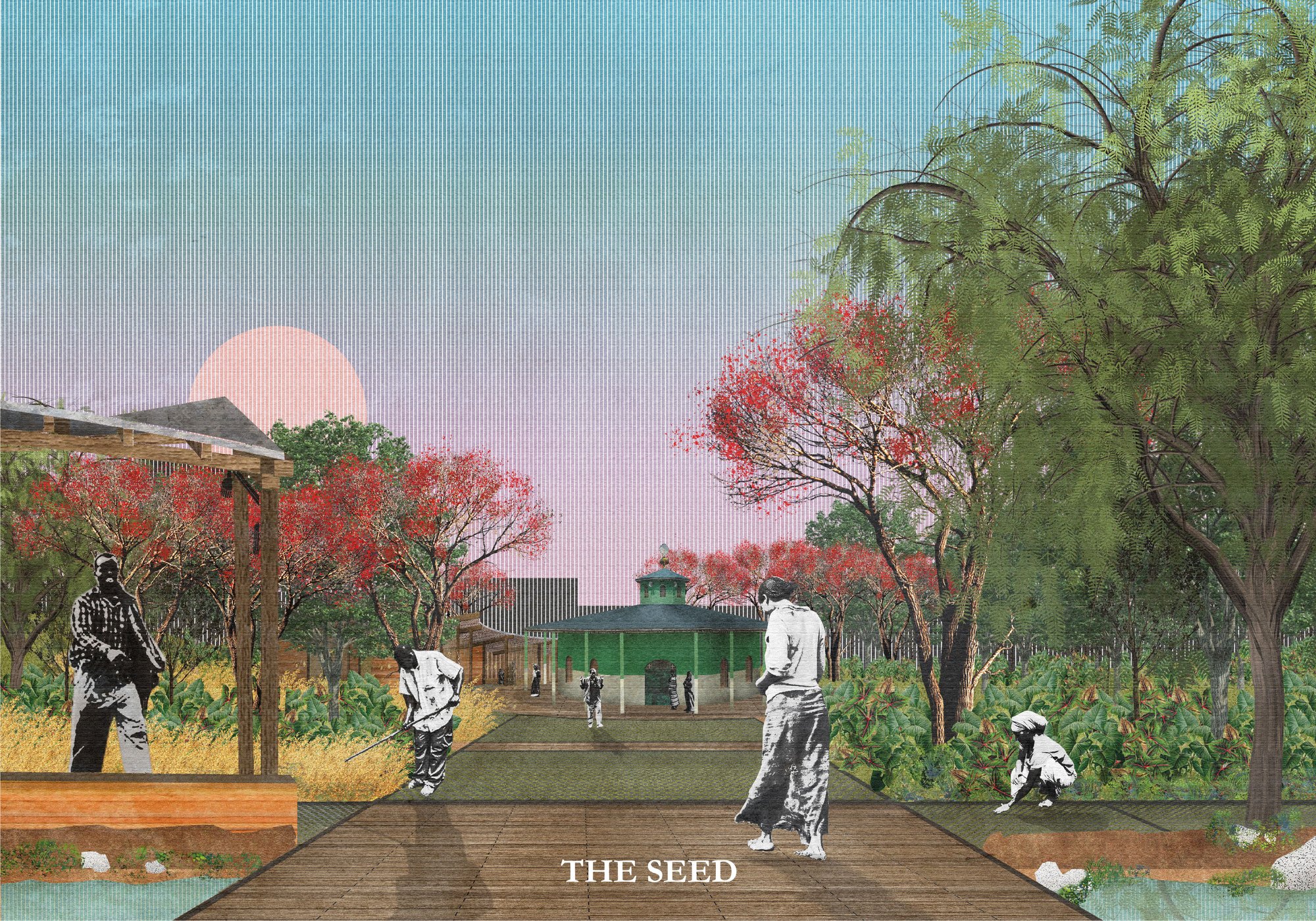 THE SEED
