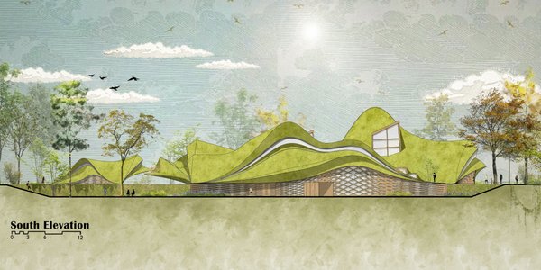 Urban Rainwater Garden Library Design