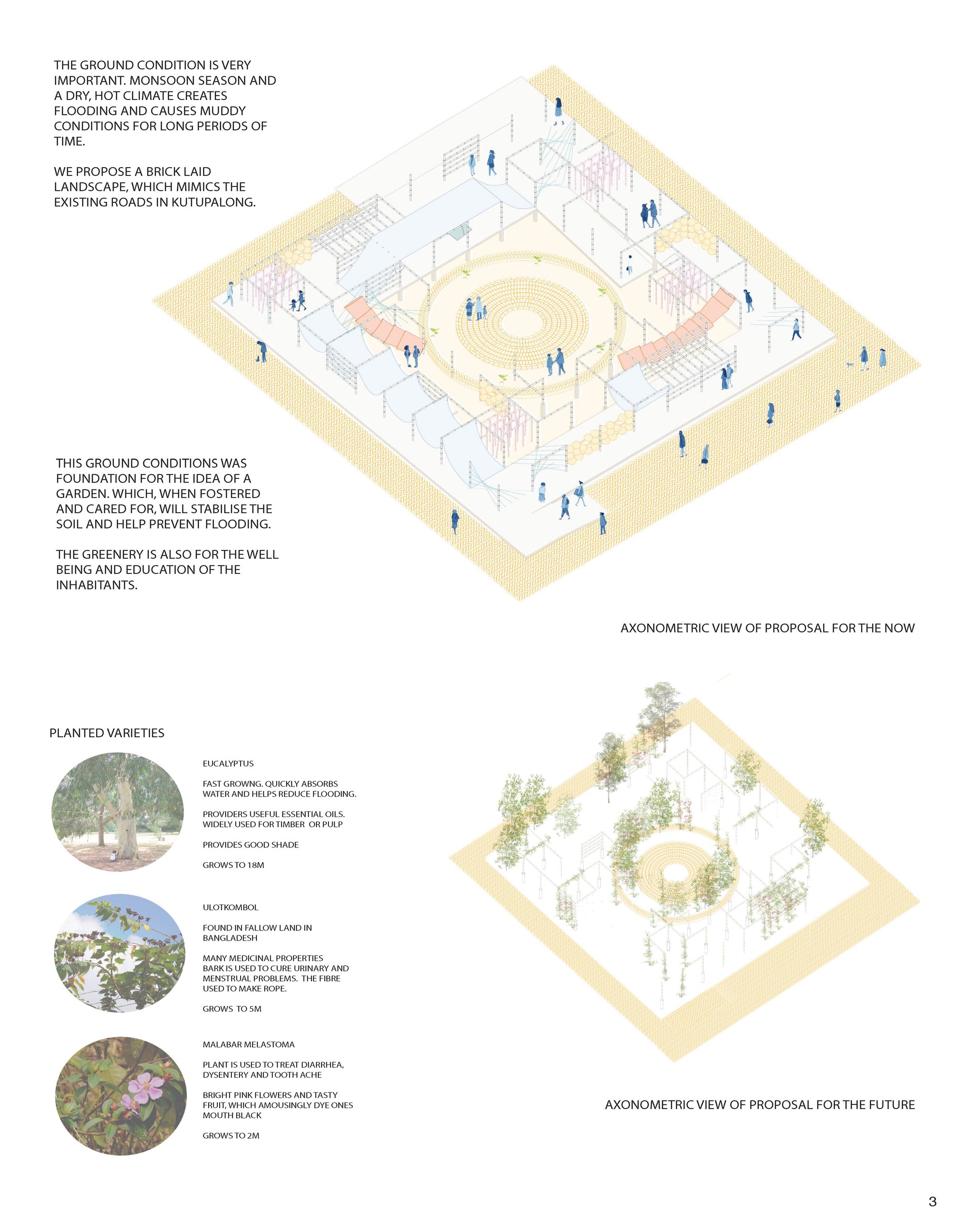 Perspective Plans Present + Future