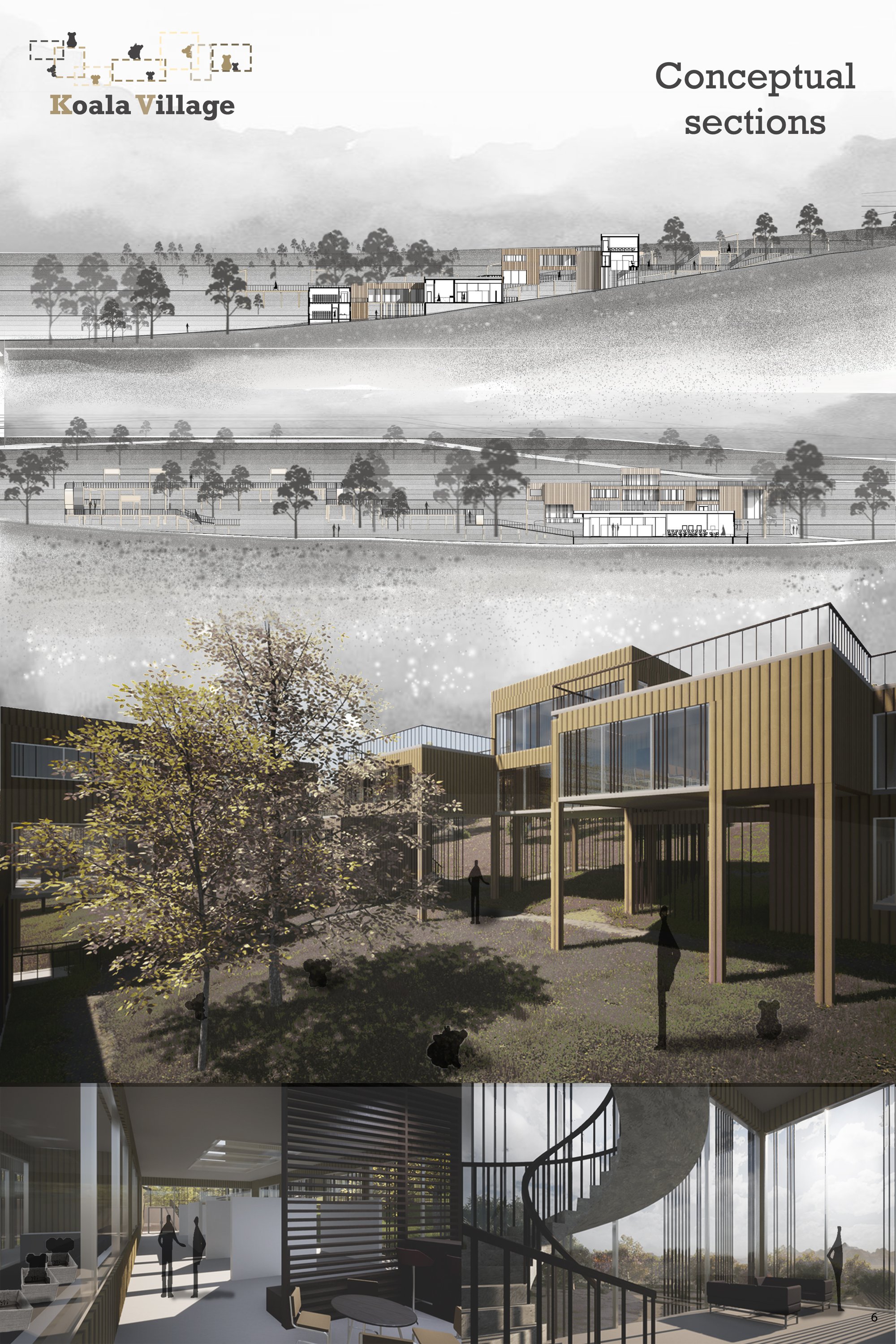 Conceptual sections