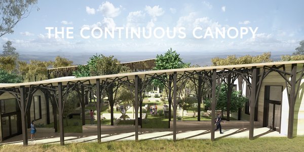 The Continuous Canopy
