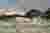 Visualization 4