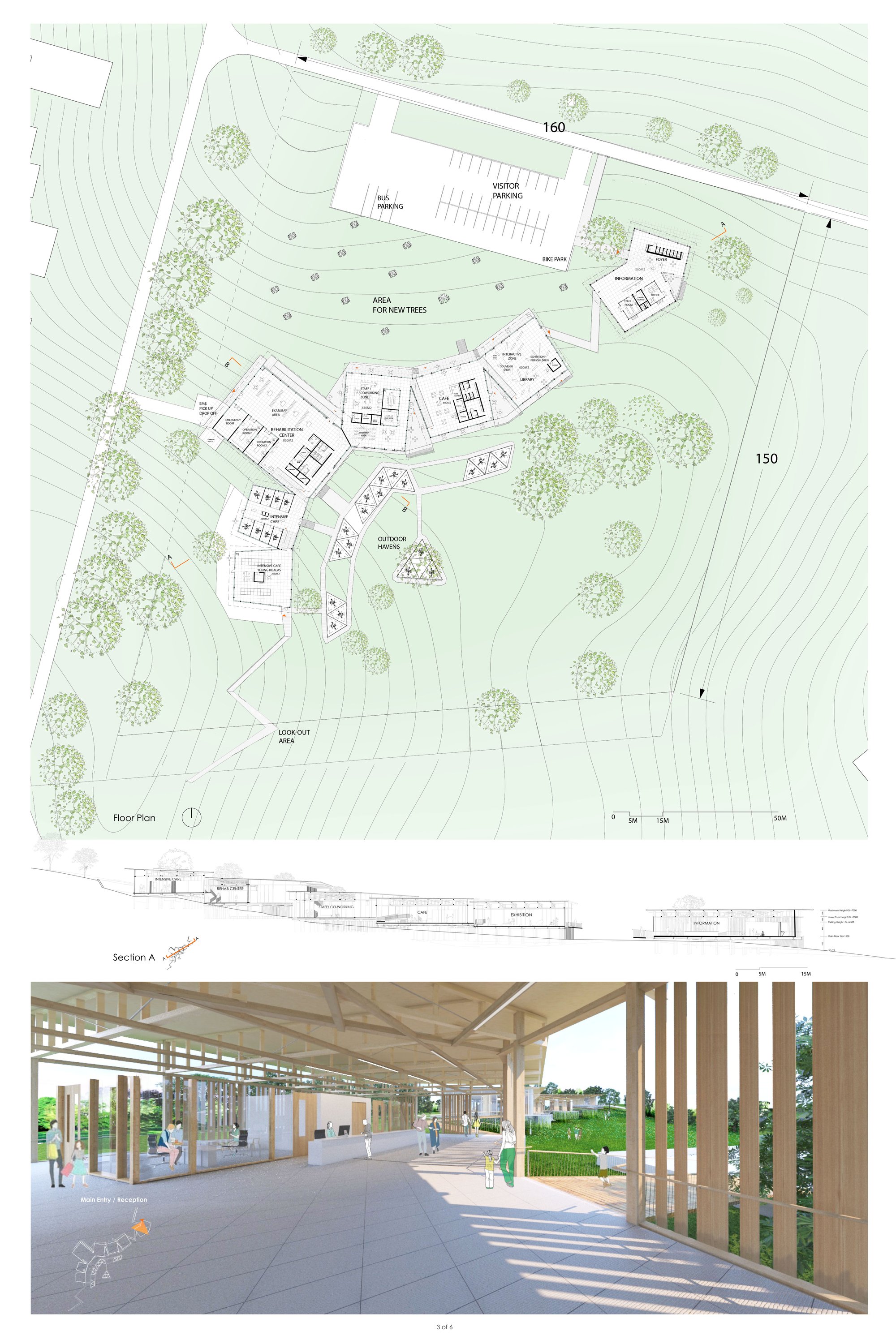 Main Drawings (Plan + Cross Section)