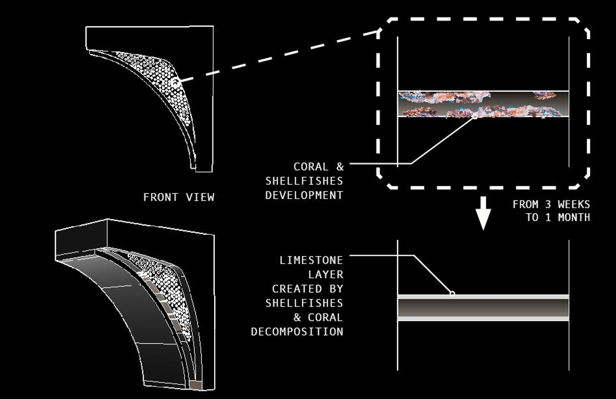 Concept Schema