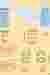 Board 2