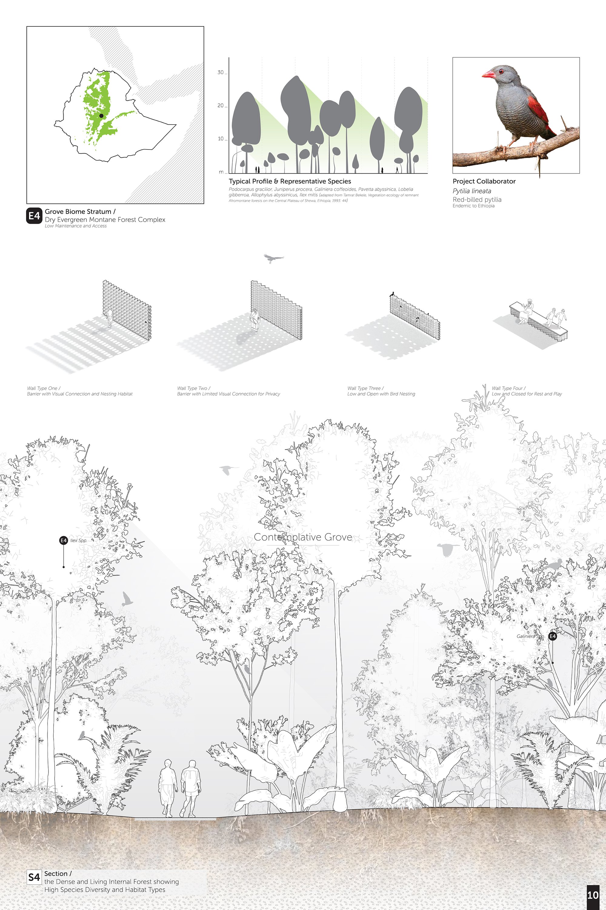 Contemplative Grove