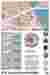 SITE ANALYSIS AND FORM