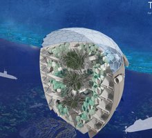 Mohamed Abdellatif work 2