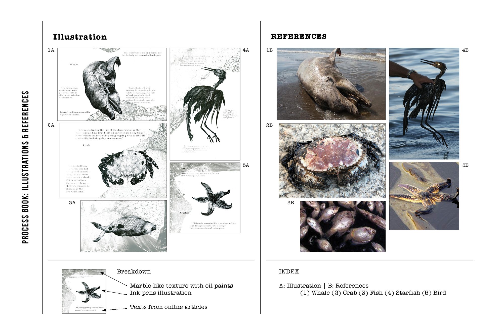 Process Book: Illustrations & References
