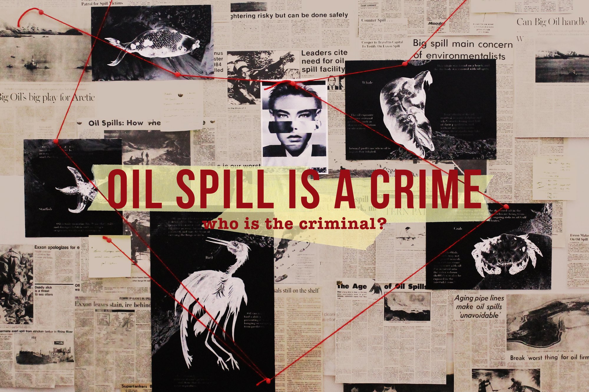 Oil Spill is a Crime